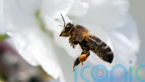 April was third-warmest on record since 1900 &ndash; Met Eireann