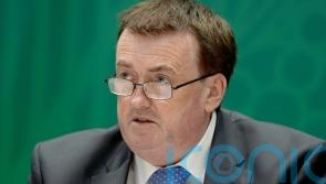 Four-fold increase in removal of EU citizens from Ireland in 2025