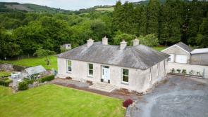 Transformed Edwardian residence for sale in Kilkenny - see inside!