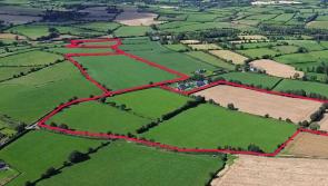 Sixty acres of quality land for sale in Kilkenny