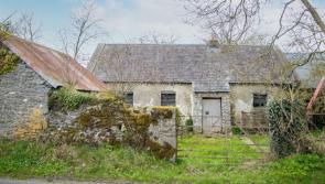 Project property for sale in amazing Kilkenny location for €60k - see more!