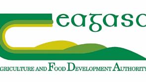 Huge drop in farm incomes revealed in new survey - Kilkenny Farming