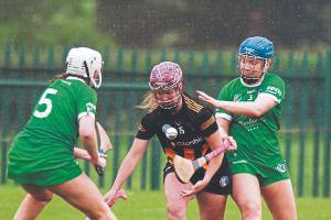 Kilkenny Seniors get off to a flying start in Limerick