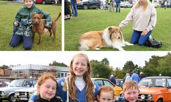 Pictures: Stunning cars galore as Kilkenny Motor Club holds annual Classic and Vintage Show