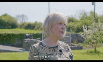 Watch: Kilkenny community goes green with new climate action plan