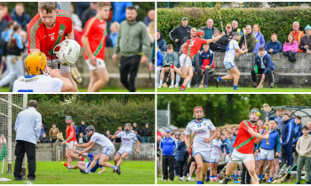 PICTURES: St Martin's and the Fenians fight for Kilkenny intermediate survival