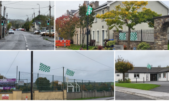 PICTURES: Shamrocks homes and businesses dawn their colours ahead of county final