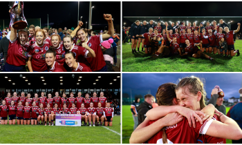 PICTURES: Leinster euphoria for Dicksboro as Kilkenny club beat Wexford opponents