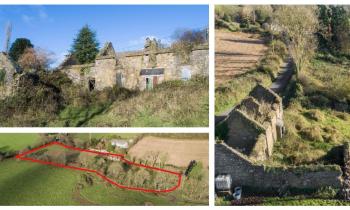 PICTURES: Derelict Kilkenny cottage on two acres for sale for less than €100k