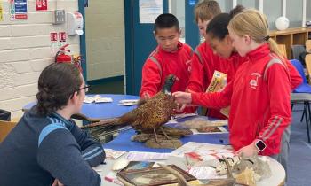 PICTURES: Kilkenny schools combine and inspire in spirited celebration of SciFest