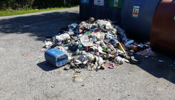 "A kick in the face" - fresh outrage over illegal dumping in Kilkenny