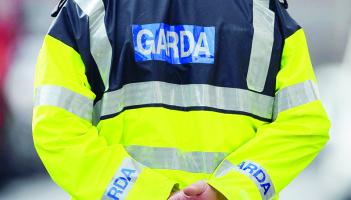 Garda appeal following brazen theft of car in Kilkenny