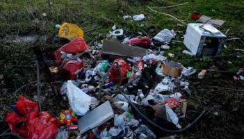 'It's depressing' - Kilkenny frustration grows over local dumping