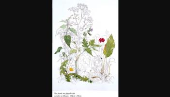 Be Inspired by the 'Wonderful Weeds of Spring'with Botanical Artist Yanny Petters in Kilkenny