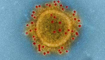 Outbreak of Covid-19  