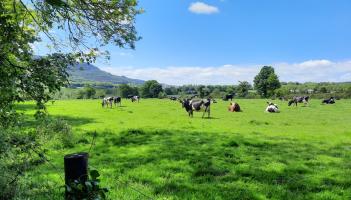 Teagasc advice for early spring grass growth