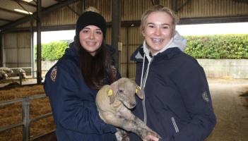 Kilkenny agri college to host Agri Aware Farm Walk and Talk