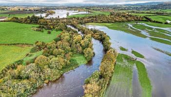 Kilkenny business shares heartfelt message after 'a dreadful start to 2026'