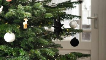 FYI: Find out where you can recycle your Christmas Tree in Kilkenny