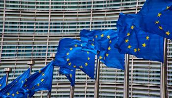 'A strong voice for the people of Kilkenny in Europe' - Newly elected MEP