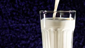 Warning to Kilkenny dairy farmers - milk price predicted to fall below production cost in 2026