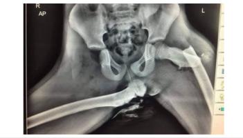 Kilkenny Gardaí share bone-chilling warning of risk sitting this one way in a car