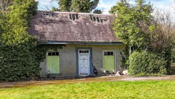 Kilkenny cottage nestled in woodland by the river (and not far from city) going to auction!
