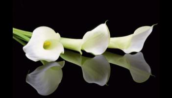 RIP: Sadness at death of Kilkenny man after 'long and fulfilling life'