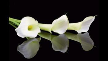 RIP: Kilkenny community in 'great shock' following sudden passing in area