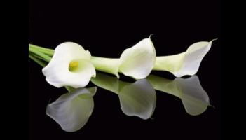 RIP: 'A lovely, pleasant man' - much loved Kilkenny priest passes away