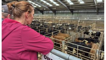 'The fight for the future of Irish farming is already underway' - Natasha Newsome Drennan TD