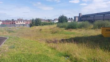 Limerick council ordered to pay wheelchair charity's costs after land row