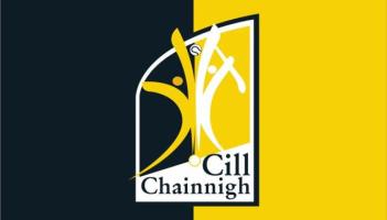 'Didn't make the cut' - Member of Kilkenny backroom departs after one season