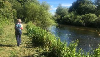 Kilkenny scenic routes named as two of the best in Ireland