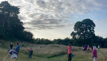 Ancient practice of seed saving in Kilkenny can teach us things about modern life