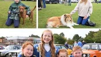 Pictures: Stunning cars galore as Kilkenny Motor Club holds annual Classic and Vintage Show