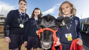 Irish Angus calves resented to Kilkenny student team
