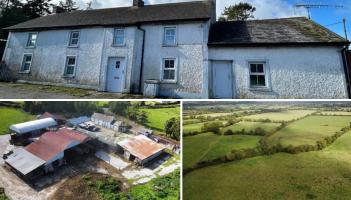 Kilkenny farmhouse on holding of approximately 113 acres for sale!