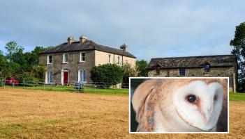 Live among the owls at this stunningly refurbished property for sale in Kilkenny