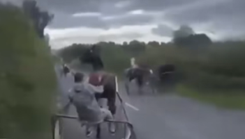WATCH: Rider thrown in high-speed sulky crash: calls to ban road racing grow