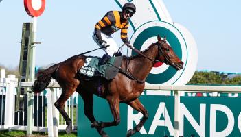 Is Kilkenny trainer Willie Mullins seeing gold in Nick Rockett?