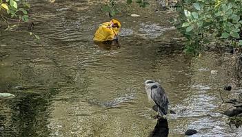  Dumping in the Breagagh River 