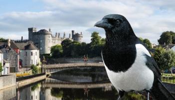 Kilkenny deemed to be the 'most superstitious' county in Ireland