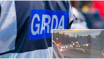 Kilkenny community left 'troubled' as horses die on local road