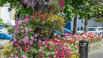 Find out how Kilkenny faired as SuperValu Tidy Towns winners are revealed