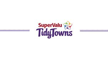Kilkenny City improves Tidy Towns score but misses out on national prize