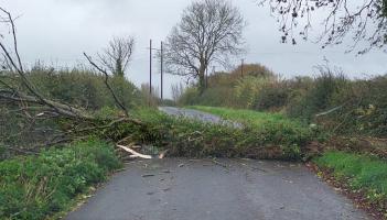 LIVE: Kilkenny road blocked by fallen tree as harsh weather hits the locality