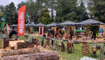 Pictures: Spot anyone you know at the Woodland Show? - Kilkenny Life