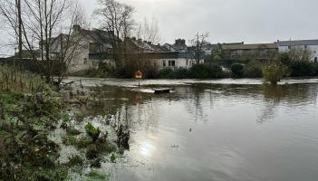Moate Field Callan flooding