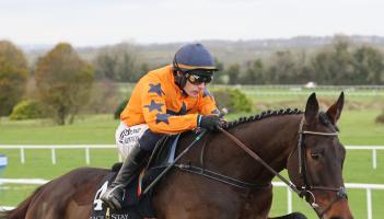 Kilkenny trainer Willie Mullins ready to unleash stable stars at Punchestown